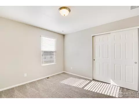 319 Jay Ave, Severance, CO 80550 photo 25
