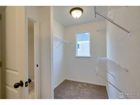 817 Mt Sneffels Ave, Windsor, CO 80550 photo 18