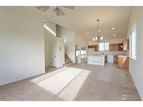 817 Mt Sneffels Ave, Windsor, CO 80550 photo 10