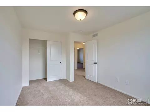 817 Mt Sneffels Ave, Windsor, CO 80550 photo 20