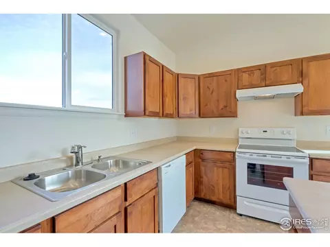 817 Mt Sneffels Ave, Windsor, CO 80550 photo 6