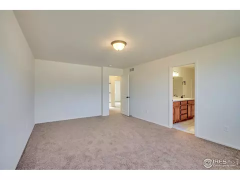 817 Mt Sneffels Ave, Windsor, CO 80550 photo 15