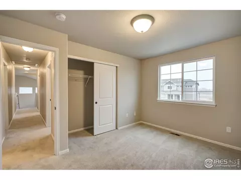 926 Mt Shavano Ave, Severance, CO 80550 photo 21
