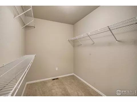 926 Mt Shavano Ave, Severance, CO 80550 photo 19