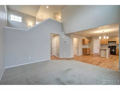 926 Mt Shavano Ave, Severance, CO 80550 photo 12