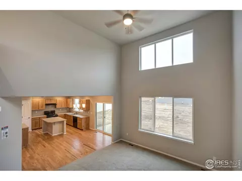 926 Mt Shavano Ave, Severance, CO 80550 photo 13