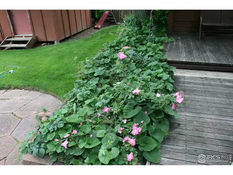 1010 Grape Ave, Boulder, CO 80304 photo 36