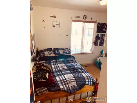 880 Florence Ave, Firestone, CO 80520 photo 10