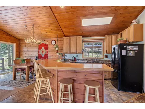 321 Tapadero Rd, Bailey, CO 80421 photo 16