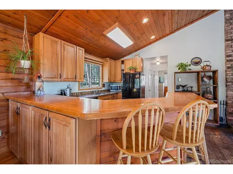 321 Tapadero Rd, Bailey, CO 80421 photo 15