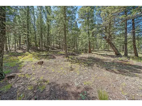 321 Tapadero Rd, Bailey, CO 80421 photo 24