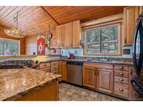 321 Tapadero Rd, Bailey, CO 80421 photo 17
