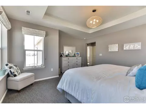 302 Baja Dr, Windsor, CO 80550 photo 24