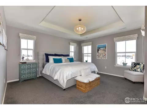 302 Baja Dr, Windsor, CO 80550 photo 22