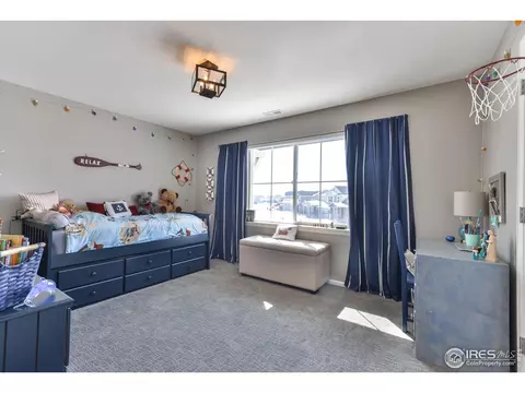 302 Baja Dr, Windsor, CO 80550 photo 26