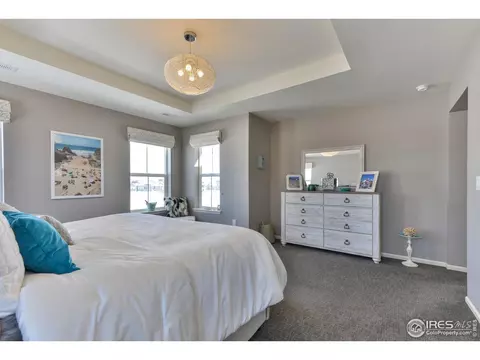 302 Baja Dr, Windsor, CO 80550 photo 23