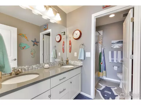 302 Baja Dr, Windsor, CO 80550 photo 29