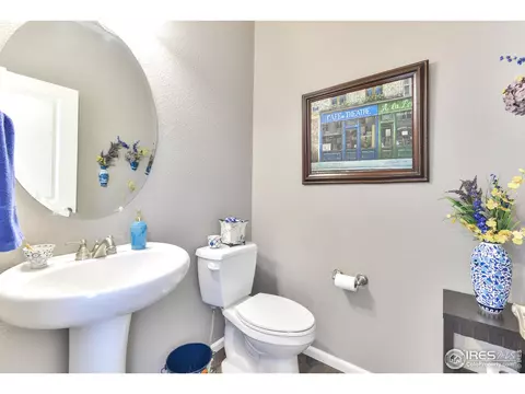 302 Baja Dr, Windsor, CO 80550 photo 21