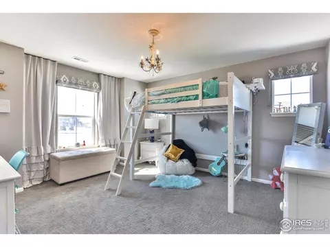 302 Baja Dr, Windsor, CO 80550 photo 28