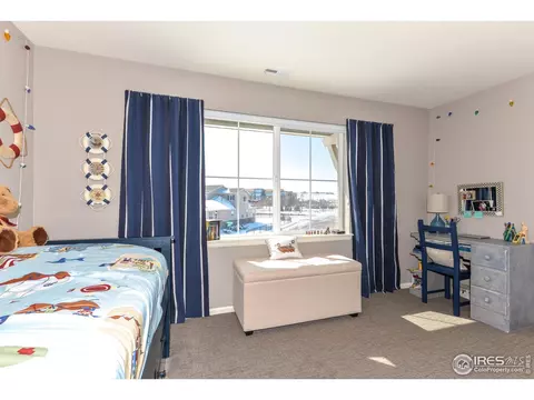 302 Baja Dr, Windsor, CO 80550 photo 27