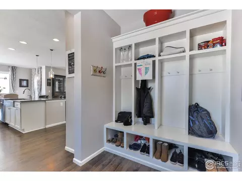 302 Baja Dr, Windsor, CO 80550 photo 19