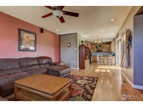 16645 Joppa Ct, Brighton, CO 80603 photo 15