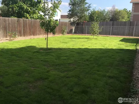 2226 Alpine Ave, Greeley, CO 80631 photo 31