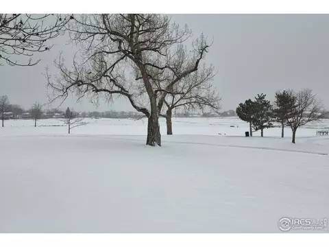 8708 Jay Ct, Arvada, CO 80003 photo 24