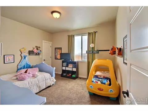 40818 Jade Dr, Ault, CO 80610 photo 25