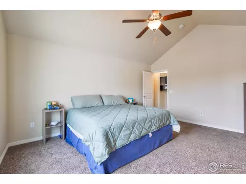 5657 Bexley Dr, Windsor, CO 80550 photo 17