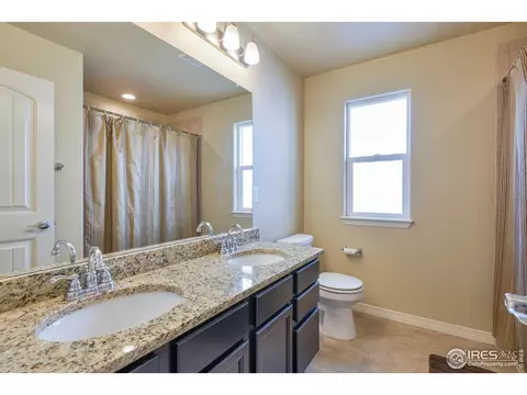 5657 Bexley Dr, Windsor, CO 80550 photo 24