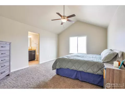 5657 Bexley Dr, Windsor, CO 80550 photo 16