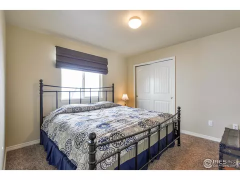5657 Bexley Dr, Windsor, CO 80550 photo 21