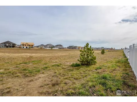 5657 Bexley Dr, Windsor, CO 80550 photo 5