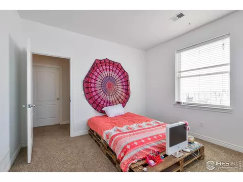 9348 Gray Ave, Carr, CO 80612 photo 24