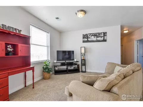9348 Gray Ave, Carr, CO 80612 photo 8