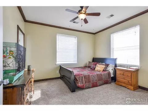 9348 Gray Ave, Carr, CO 80612 photo 19