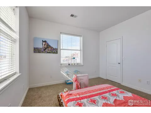 9348 Gray Ave, Carr, CO 80612 photo 23