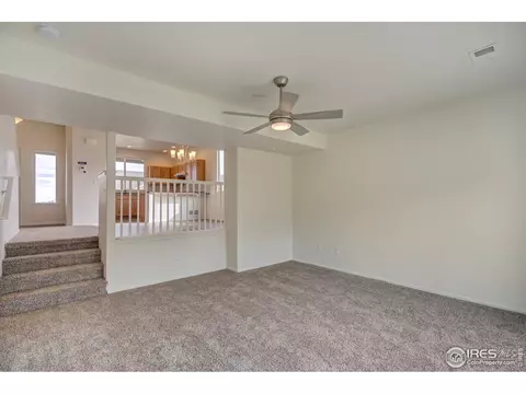 905 Mt Shavano Ave, Severance, CO 80550 photo 11