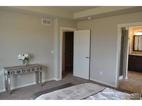 5459 Long Dr, Timnath, CO 80547 photo 15