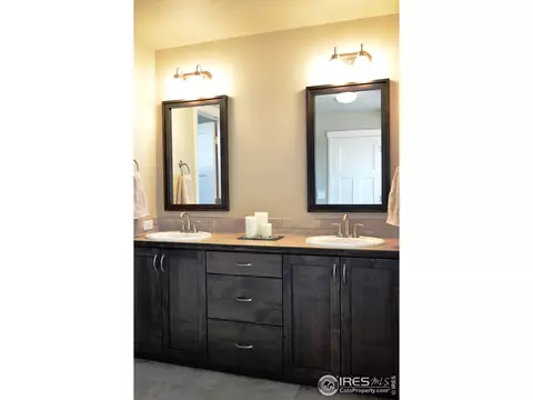 5459 Long Dr, Timnath, CO 80547 photo 13