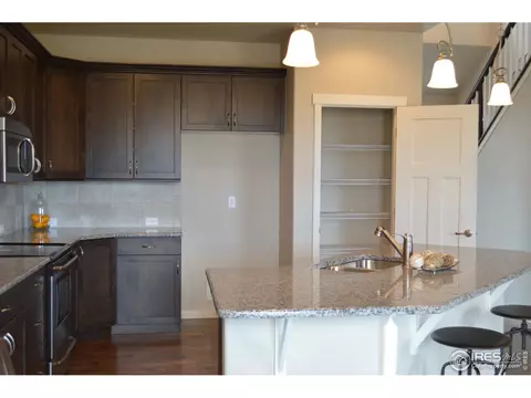 5459 Long Dr, Timnath, CO 80547 photo 5