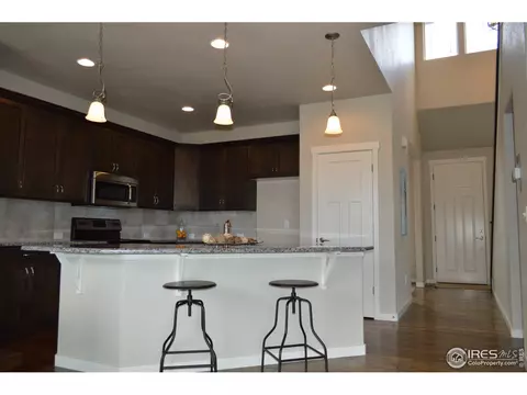 5459 Long Dr, Timnath, CO 80547 photo 4