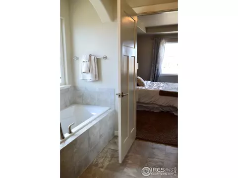5459 Long Dr, Timnath, CO 80547 photo 10