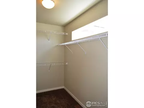 5459 Long Dr, Timnath, CO 80547 photo 14