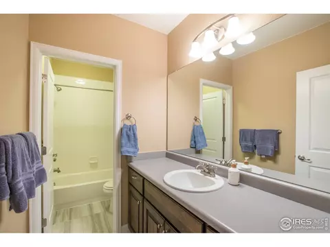 198 Veronica Dr, Windsor, CO 80550 photo 33