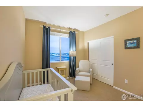 198 Veronica Dr, Windsor, CO 80550 photo 23