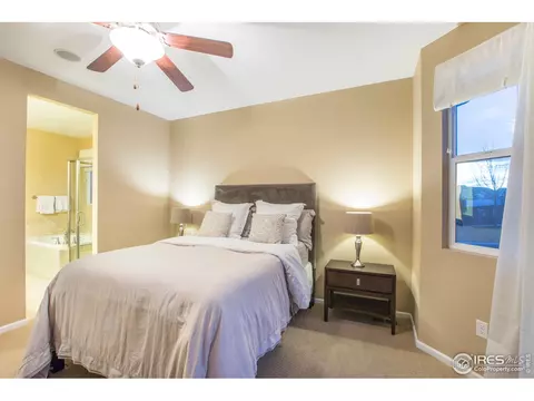 198 Veronica Dr, Windsor, CO 80550 photo 19