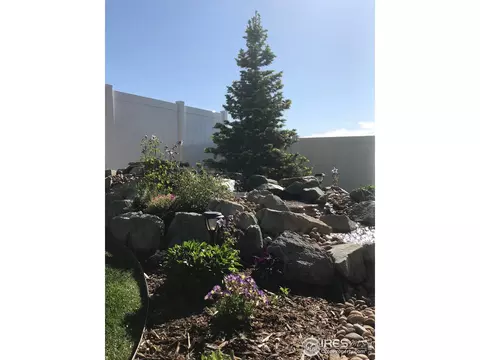 5468 Sequoia Pl, Frederick, CO 80504 photo 8