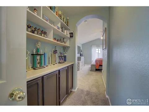 2017 E 98th Pl, Thornton, CO 80229 photo 26